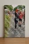 Evenement foto: Nijmeegse Vierdaagse 1100
