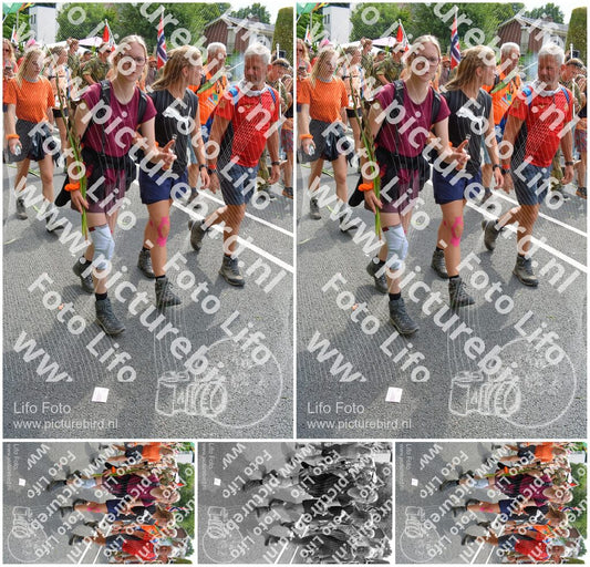 Evenement foto: Nijmeegse Vierdaagse 1100