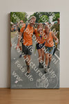 Evenement foto: Nijmeegse Vierdaagse 1100