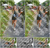 Evenement foto: Nijmeegse Vierdaagse 1100