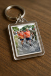 Evenement foto: Nijmeegse Vierdaagse 1100