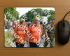 Evenement foto: Nijmeegse Vierdaagse 1100