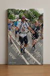 Evenement foto: Nijmeegse Vierdaagse 1100