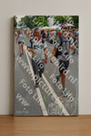 Evenement foto: Nijmeegse Vierdaagse 1100