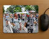 Evenement foto: Nijmeegse Vierdaagse 1100
