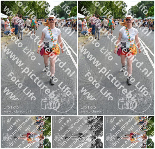 Evenement foto: Nijmeegse Vierdaagse 1100