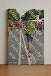 Evenement foto: Nijmeegse Vierdaagse 1100