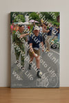Evenement foto: Nijmeegse Vierdaagse 1100
