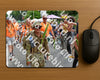 Evenement foto: Nijmeegse Vierdaagse 1100