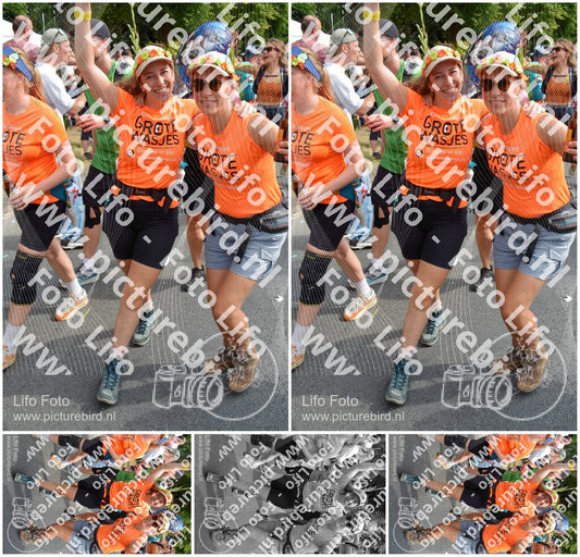 Evenement foto: Nijmeegse Vierdaagse 1100