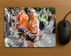 Evenement foto: Nijmeegse Vierdaagse 1100