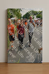 Evenement foto: Nijmeegse Vierdaagse 1100