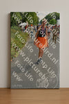 Evenement foto: Nijmeegse Vierdaagse 1100