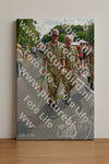 Evenement foto: Nijmeegse Vierdaagse 1100