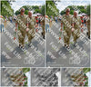 Evenement foto: Nijmeegse Vierdaagse 1100
