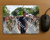 Evenement foto: Nijmeegse Vierdaagse 1100