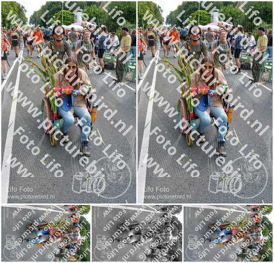 Evenement foto: Nijmeegse Vierdaagse 1100