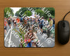 Evenement foto: Nijmeegse Vierdaagse 1100