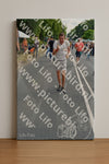 Evenement foto: Nijmeegse Vierdaagse 1100