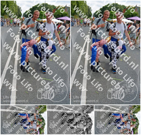 Evenement foto: Nijmeegse Vierdaagse 1100