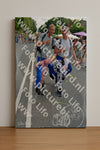 Evenement foto: Nijmeegse Vierdaagse 1100