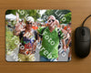 Evenement foto: Nijmeegse Vierdaagse 1100