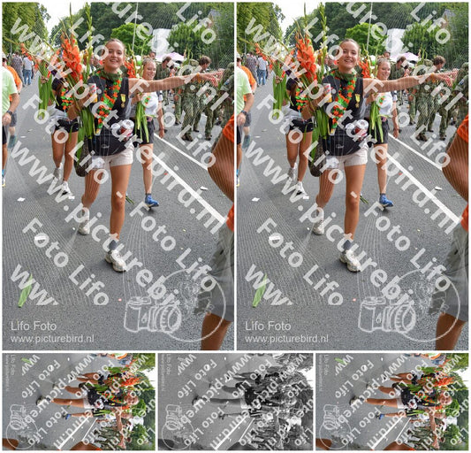 Evenement foto: Nijmeegse Vierdaagse 1100