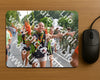 Evenement foto: Nijmeegse Vierdaagse 1100