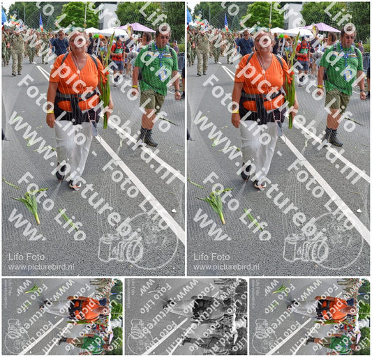 Evenement foto: Nijmeegse Vierdaagse 1100