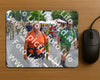 Evenement foto: Nijmeegse Vierdaagse 1100