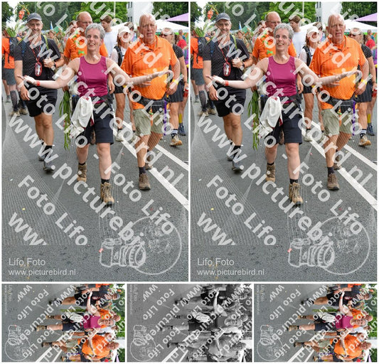 Evenement foto: Nijmeegse Vierdaagse 1099
