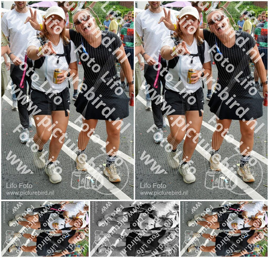 Evenement foto: Nijmeegse Vierdaagse 1099