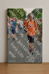 Evenement foto: Nijmeegse Vierdaagse 1099