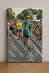 Evenement foto: Nijmeegse Vierdaagse 1099