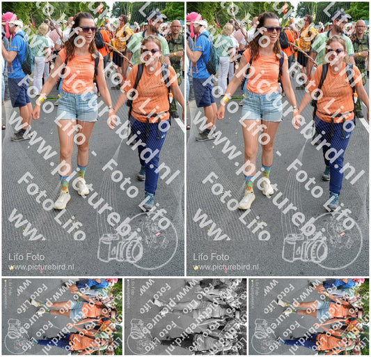 Evenement foto: Nijmeegse Vierdaagse 1099