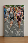 Evenement foto: Nijmeegse Vierdaagse 1099