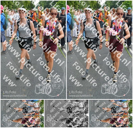 Evenement foto: Nijmeegse Vierdaagse 1099
