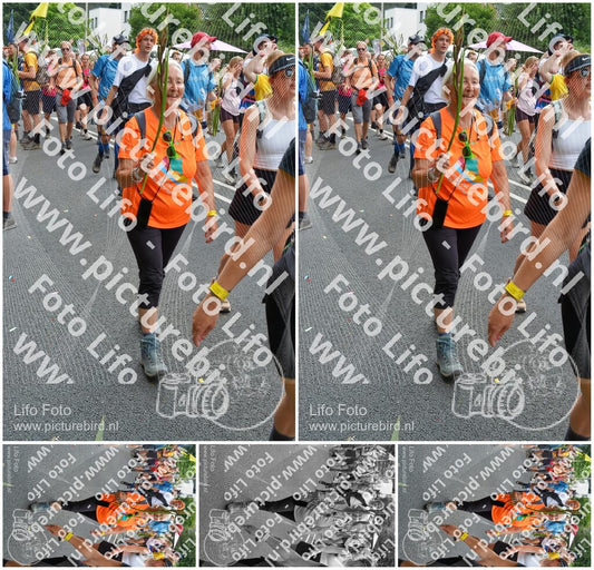 Evenement foto: Nijmeegse Vierdaagse 1099