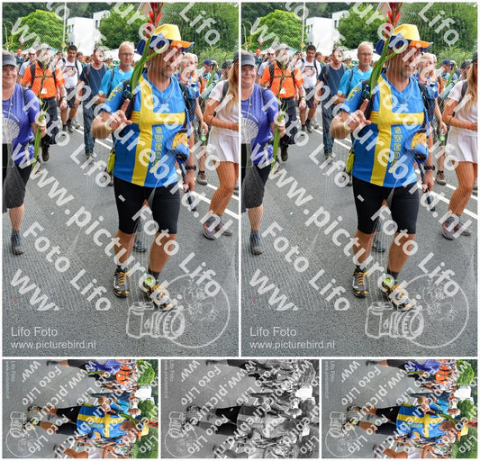 Evenement foto: Nijmeegse Vierdaagse 1099