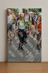 Evenement foto: Nijmeegse Vierdaagse 1099