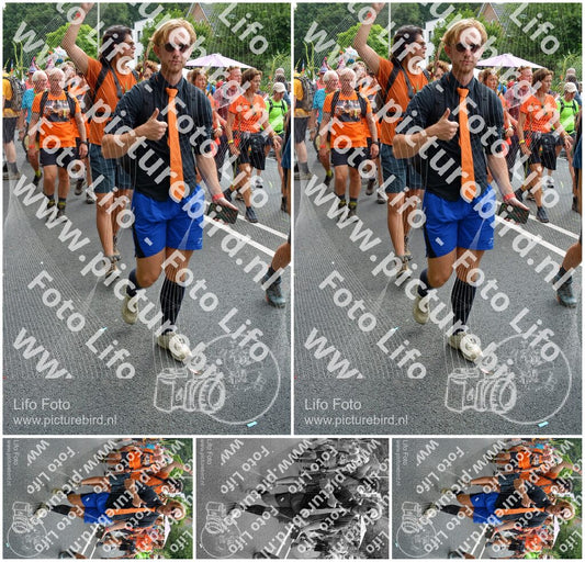 Evenement foto: Nijmeegse Vierdaagse 1099