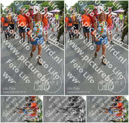 Evenement foto: Nijmeegse Vierdaagse 1099