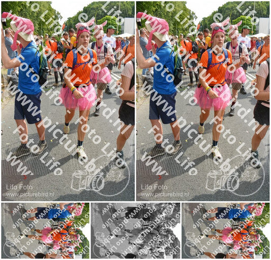 Evenement foto: Nijmeegse Vierdaagse 1099