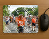 Evenement foto: Nijmeegse Vierdaagse 1099