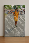 Evenement foto: Nijmeegse Vierdaagse 1099