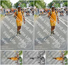 Evenement foto: Nijmeegse Vierdaagse 1099