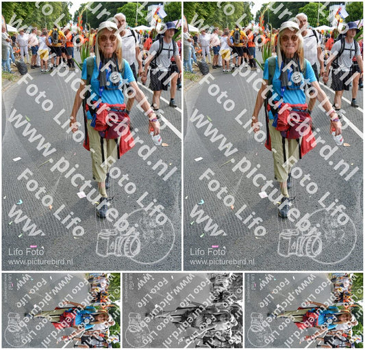 Evenement foto: Nijmeegse Vierdaagse 1099