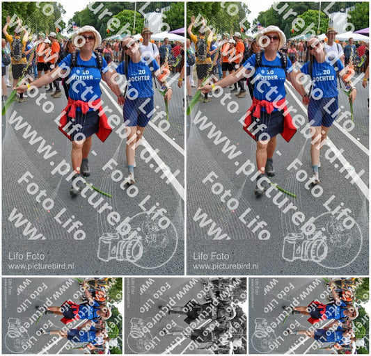 Evenement foto: Nijmeegse Vierdaagse 1099