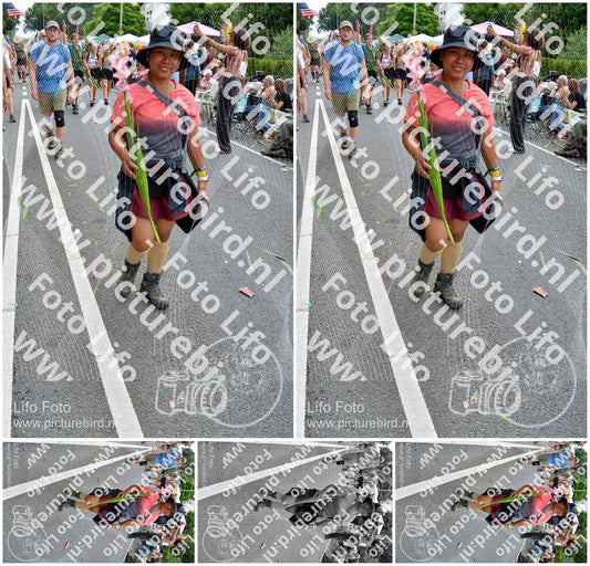 Evenement foto: Nijmeegse Vierdaagse 1099