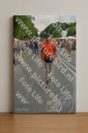 Evenement foto: Nijmeegse Vierdaagse 1099